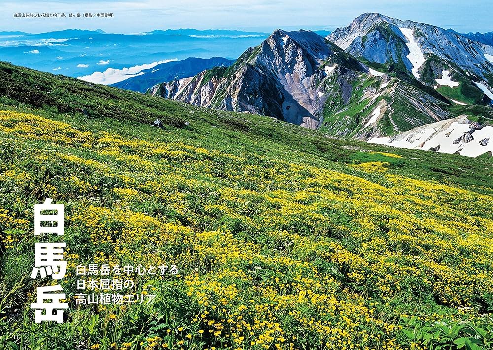 ヤマケイアルペンガイド 北アルプス 白馬・後立山連峰 | 中西